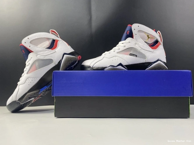 Jordan PSG 7 CZ0789-105 Air 0529